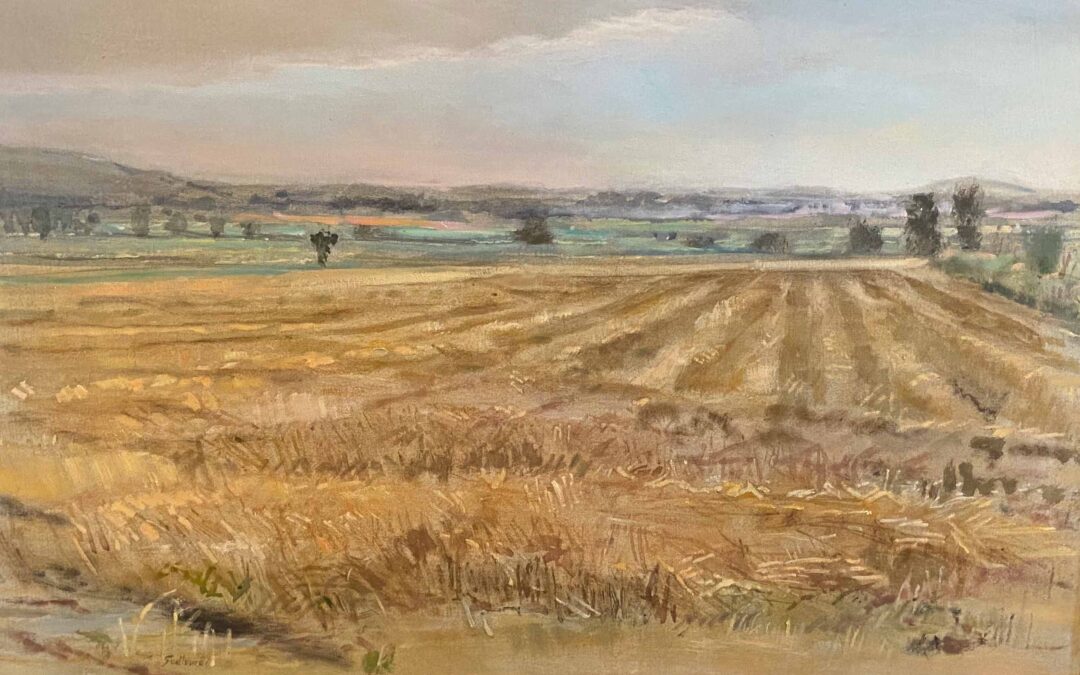 Kansas City Collections