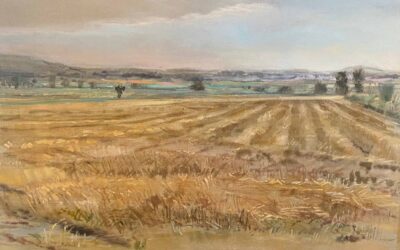 Kansas City Collections